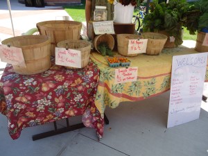 Another missing piece: the Farmer's Market, held every Thursday in warm weather. Not only a strong connection between campus and village, but a hint to the environmentally-friendly atmosphere on - and off-campus.