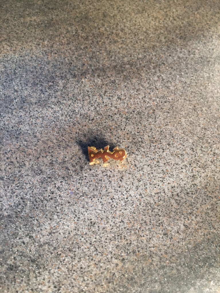 My teeny-tiny sister pin, 2015