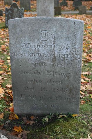 hester broadhead elting